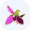 media-xaribulbul